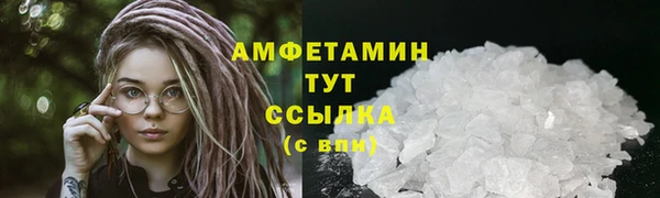 мдпв Краснослободск