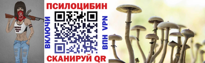 где купить наркотик  Суровикино  Псилоцибиновые грибы Magic Shrooms 